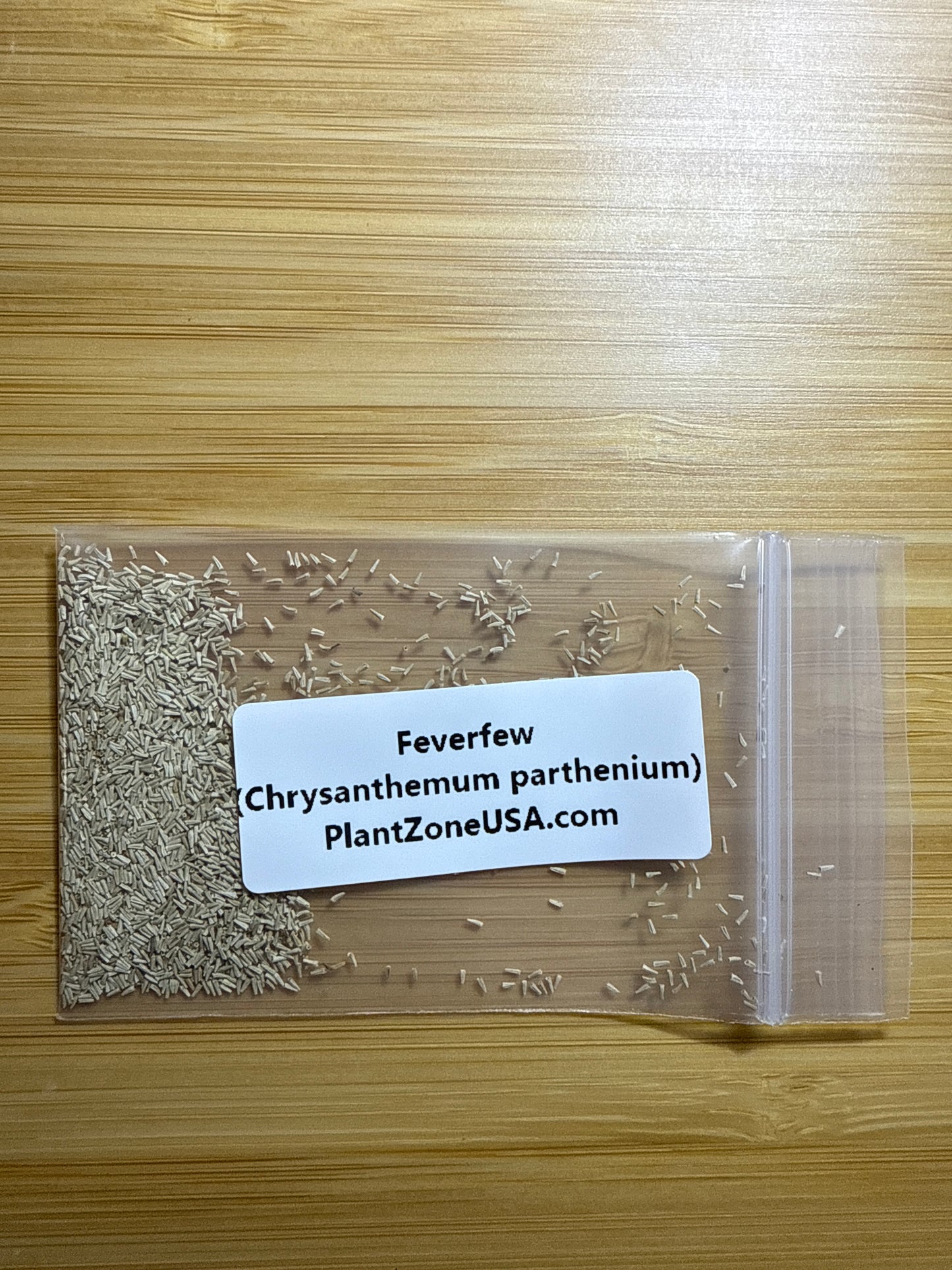 100 Feverfew Seeds (Chrysanthemum parthenium)