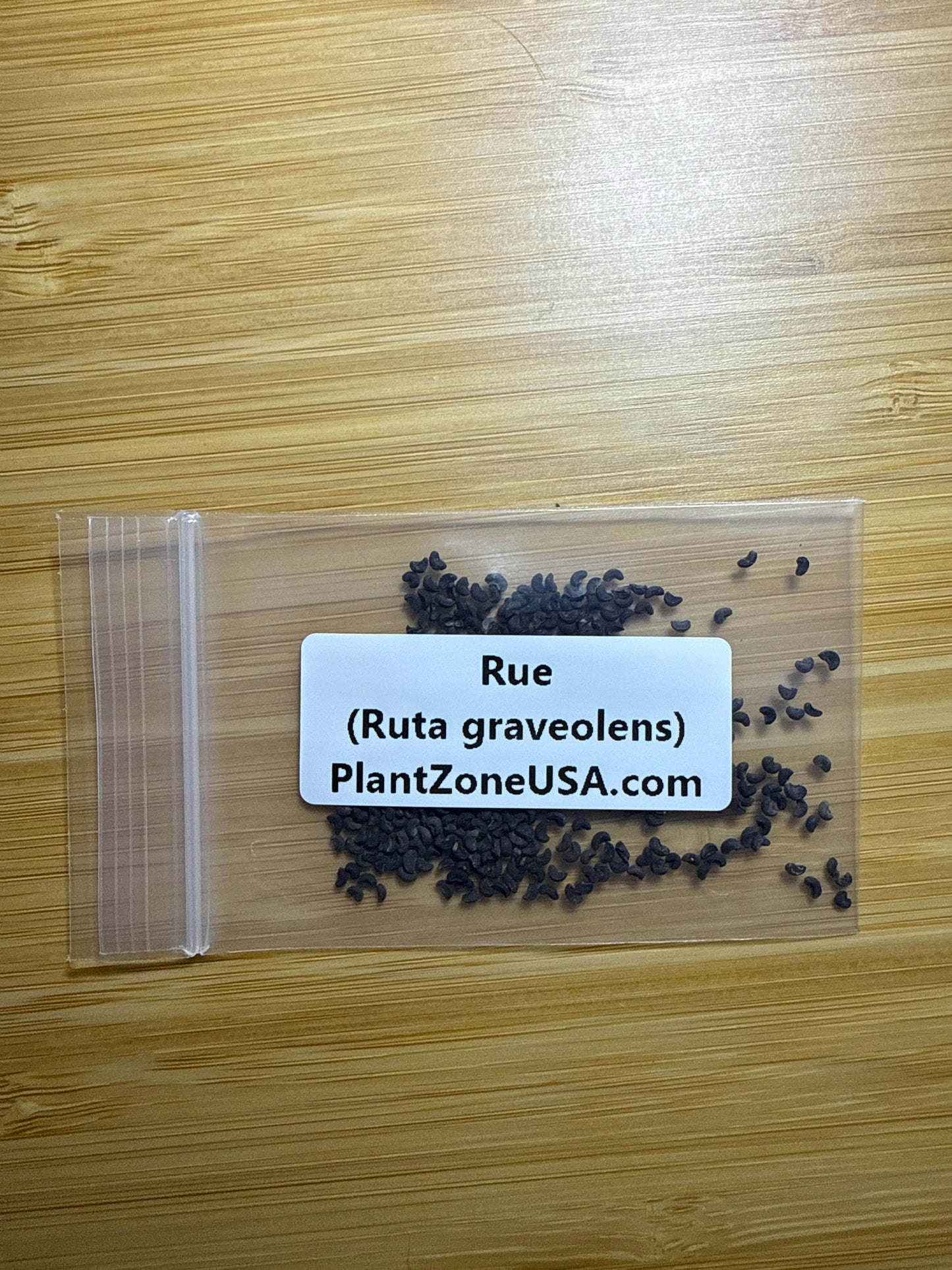200 Rue Seeds (Ruta graveolens)