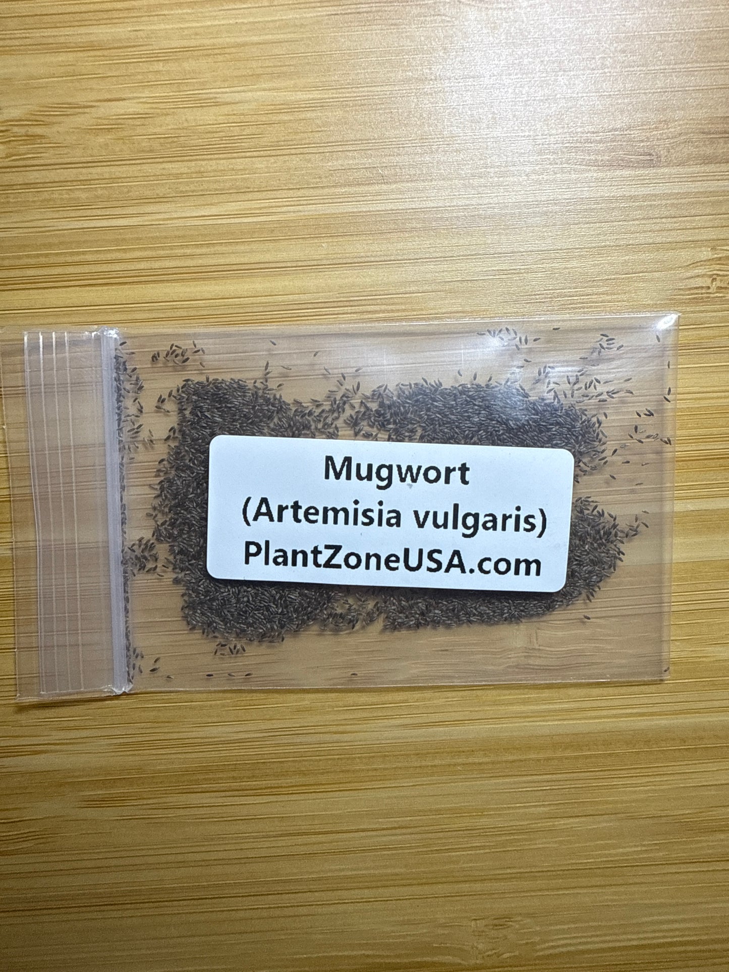 200 Mugwort Seeds (Artemisia vulgaris)
