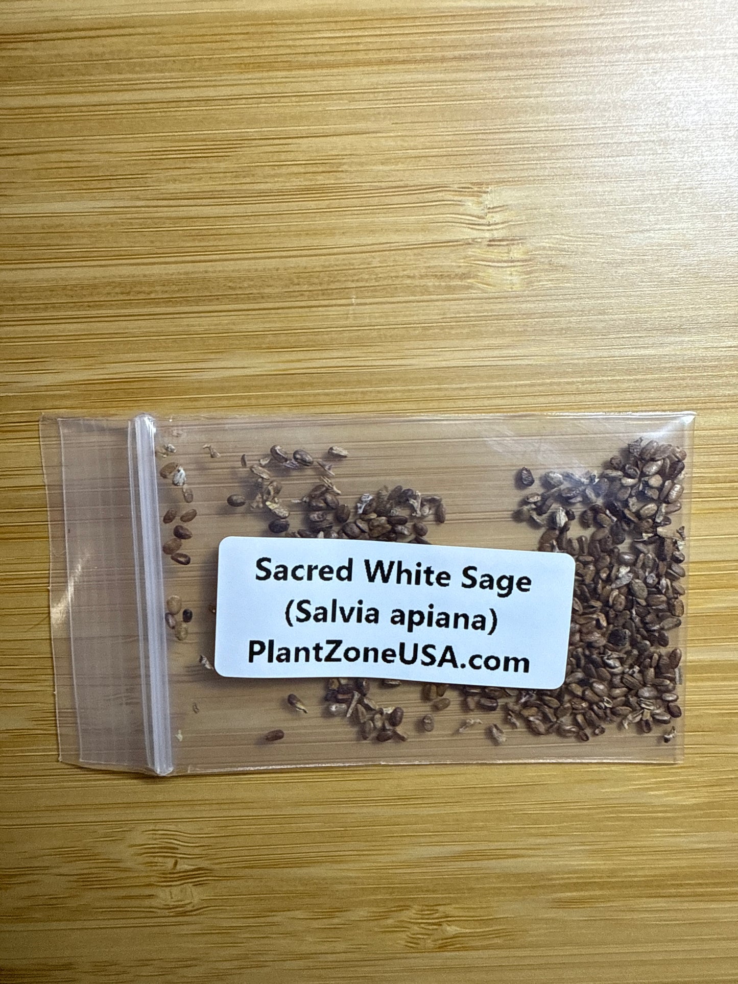 100 Sacred White Sage Seeds (Salvia apiana)