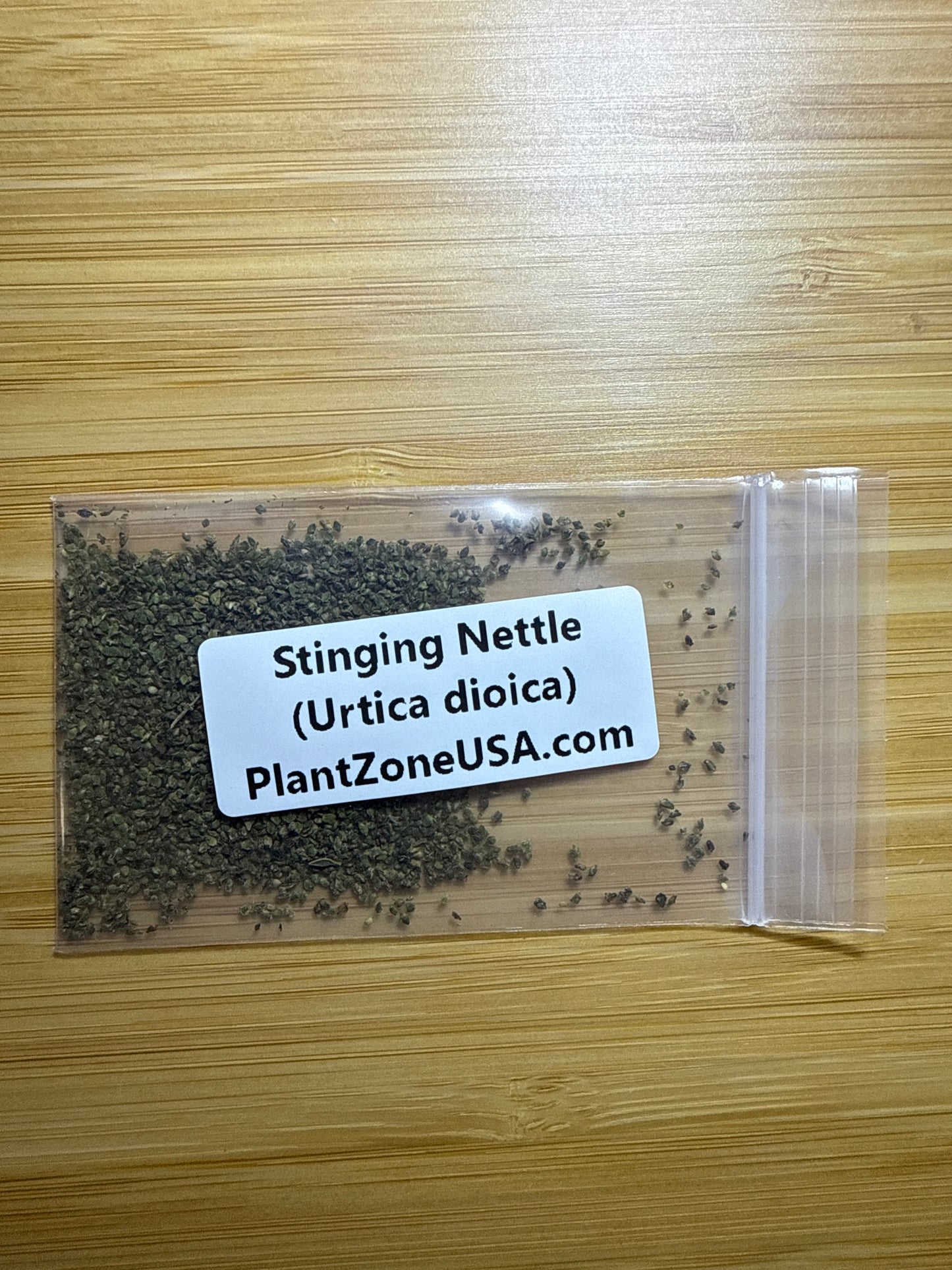 200 Stinging Nettle Seeds (Urtica dioica)